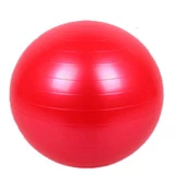 Yoga Pilates Aeorobik Jimnastik Topu 65 Cm - 4