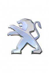 ÖN ASLAN AMBLEMİ 301 - 1