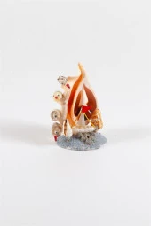 Dekoratif Doğal Deniz Kabuğu Lambis Biblo Kuş ve Yelken Temalı Biblo thumbnail 4