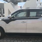 CAPPAFE MUSSO 2018 Yarasa Kapı Kaplama - 6