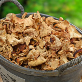 Kurutulmuş Sarıkız Mantarı 500 gr - 2