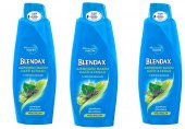 BLENDAX 3 LÜ Bitki Özlü Şampuan 550 ml - 1