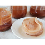 Kombucha Combucha Combuçay Reshi Reiki İçecek Mayalama Mantarı - 2