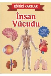 Eğitici Kartlar-insan Vücudu - 1