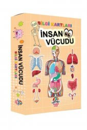 Bilgi Kartları - Insan Vücudu - 1