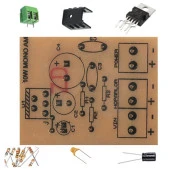 TDA 2003 ile 10W Mono Anfi - Demonte(Montesiz) thumbnail 1