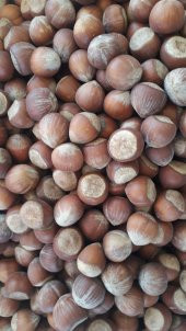 Düzce Kabuklu Fındık 1 kg - 1