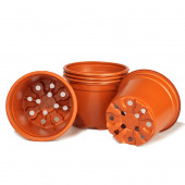 ÇİÇEK BİTKİ ÇİLEK ÇOĞALTMA SAKSISI 105 LUK TEK ALIMDA 100 ADET thumbnail 2