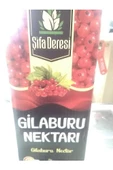 Gilaburu Suyu 1 litre thumbnail 4
