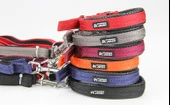 Bobo Balık Sırtı Köpek Boyun ve Gezdirme Tasması 1.5x120 cm - 2
