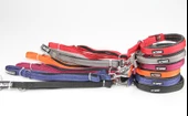 Bobo Balık Sırtı Köpek Boyun ve Gezdirme Tasması 1.5x120 cm - 1