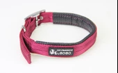 Bobo Balık Sırtı Köpek Boyun ve Gezdirme Tasması 2x120 cm - 5