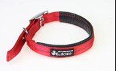 Bobo Balık Sırtı Köpek Boyun ve Gezdirme Tasması 2x120 cm - 7