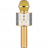 Winex UsbA+TF Sd Kart+3.5mm Aux Girişli Bluetooth Karaoke Mikrofonu Gold - 1