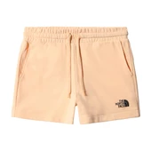 The North Face W LOGOWEAR SHORT Kadın Şort NF0A7QZX3R81 - 1