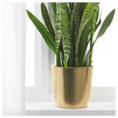 Galvanizli Çelik Gold Saksı 19 Cm Çiçek Bitki Saksısı Gold Renk 19Cm IKEA - 4