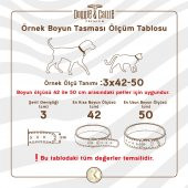 Doggie Konforlu Gerçek Deriden El Yapımı Kemik Süslü Köpek Boyun Tasması 4x52-60cm Kırmızı thumbnail 5