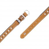 Doggie Konforlu Gerçek Deriden El Yapımı Çivili Köpek Boyun Tasması 2x35-40cm Camel - 4