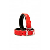 DESİNGSHOP Deri Köpek Tasması 2,5x56 Cm Kırmızı btm2026 - 1