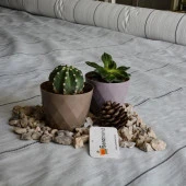 1x10 metre SULZER KUMAŞ SERA TABAN ÖRTÜSÜ JÜT BLUEBERRY PEYZAJ UYGULAMA ÖRTÜSÜ MULCH NAYLONU ÇİLEK MALÇ thumbnail 5