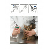 CORAX VET Kedi Hap Yutturma Enjektörü 2 Adet - 3