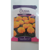 KADİFE ÇİÇEK TOHUMU 100 VERİMLİ - 1