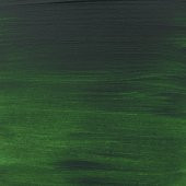 AAC ACRYLIC 500ML. SAP GREEN - 2
