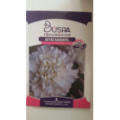 BEYAZ KARANFİL ÇİÇEK TOHUMU 100 VERİMLİ - 1