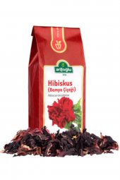 Arifoğlu Hibiskus 100g - 1