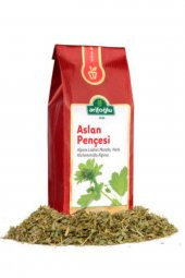 Arifoğlu Aslan Pençesi 80 G - 1