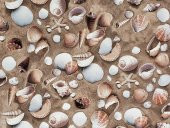 D-c-fix 343-1010 Deniz Kabuğu Desen Yapışkanlı Folyo (45cm x 1,5mt) thumbnail 4