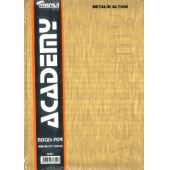 Defter 400 yaprak Ciltli 20x28 Sert Kapak Kareli özkan 70 gr - 10