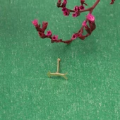 Ok 14 Ayar Altın Hızma - 4