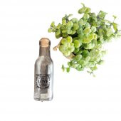 Evdiva Mantar Kapaklı Cam Lüx Mini Şişe 2 no - 1