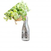 Evdiva Mantar Kapaklı Cam Lüx Mini Şişe 3 no - 1