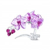 5520373 Swarovski Biblo Crystal Flowers:Orchıd - 1