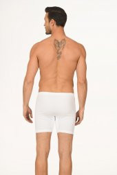 Beyaz  Uzun Arjantin Boxer - 2