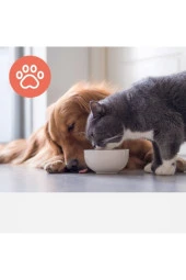 Leitz Trusens Z-3000 / Z-3500 Hava Temizleyici Evcil Hayvan Filtresi Için Yedek Karbon Filtre thumbnail 4