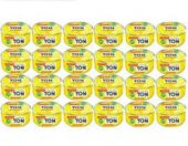 Dardanel Ekonomik Ton Balığı 24 x 75 G - 2