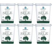 Marmarabirlik Kuru Sele 321-350 KB XS Siyah Zeytin Kutu 6 x 800 G - 1