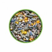 Vivid Bird Kemirgen Yemi Tavşan Hamster Ginepig 1000 gr - 1