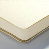 TAC SKETCH BOOK WHITE GOLD 21X15 140GR - 3