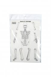 İskelet Sistemi A4 Karton - 1