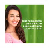 Himalaya Kırışıklık Karşıtı Yüz Kremi 50 Ml. - 2