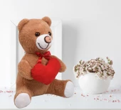 Sevdiklerinize Özel Kalp Tutan, Şirin Peluş Ayıcık - 30 cm thumbnail 1