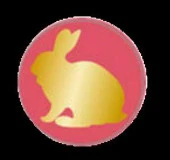 Mektup Damga Mühürü Şirin Tavşan + 30 Mühür Mumu + Kaşık thumbnail 10