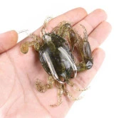 PROFISHER Silika Jel Kurşunlu Sahte Yengeç Yem 10 cm 30 gr Model D thumbnail 7