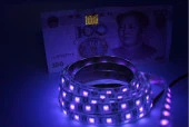 UV Şerit LED 5050 SMD 60/m İç Mekan 1mt 12V - 4