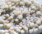 Mühür Mumu 100 Davetiye İçin 300 Boncuk Model107 Sedef Karma Renk thumbnail 8