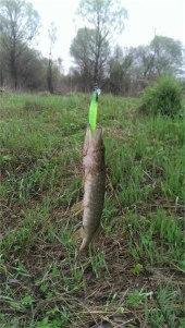 9 cm 7,5 gr ÇİFT KARBON ÇELİK KANCALI YEM thumbnail 5